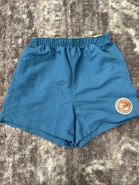 Patagonia Kids Blue Baggies Shorts